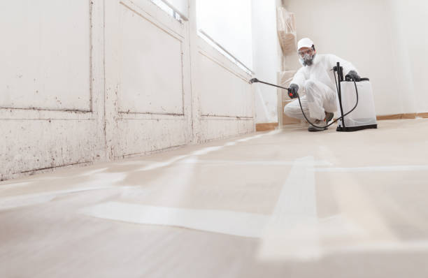 24/7 Emergency Attic Mold Remediation experts in Salem, VA
