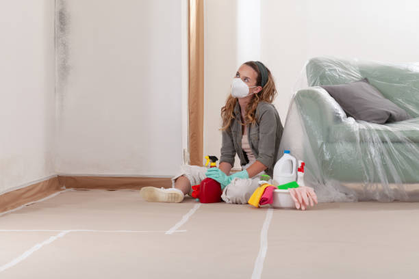 Reliable Attic Mold Remediation contractor in Salem, VA by 24 Hour Mold Removal
